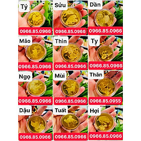 Tết 2023 Móc Khóa Đồng Xu 12 Con Giáp Mạ Vàng Treo Oto, Xe Máy Phong Thủy LGLSC000384