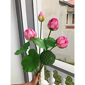 Mua Set 11 hoa lụa – Hoa sen Quan Âm – Cây giả decor trang trí Tết – Cành dài 75 cm – Hàng cao cấp loại 1