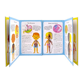 Hình ảnh The Incredible Human Body - My First Human Body Book - New Version