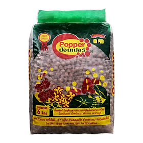 Đất nung trồng cây 6 lít Popper - Thailand size L 1,5 kg