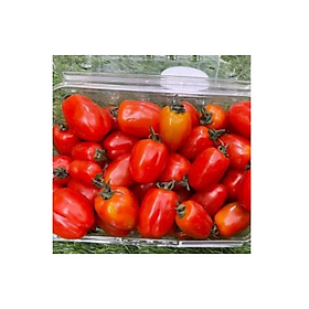 [Chỉ giao HN] Cà Chua Bi Đà Lạt- 1kg