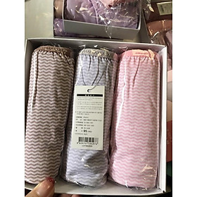 Set 3c quần chip nữ cotton Hàn