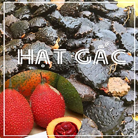 Mua Hạt Gấc khô đóng gói 500g - Hàng Công Ty loại 1