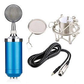 Micro hát Karaoke chuyên nghiệp BM-8000 + Màng lọc âm + Shockmount