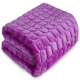 Mua Thảm nhung trải giường mùa đông 2mx2.2m (Ngẫu nhiên)