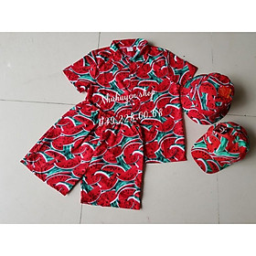 Set bộ trái cây đủ mẫu y hình đi biển cho gia đình, đủ size big size