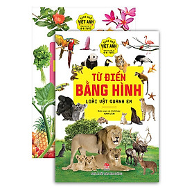 Kim Đồng - Combo Từ điển bằng hình - Song ngữ Việt - Anh (2 quyển)