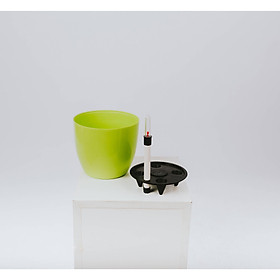 5 Chậu Cây Tự Dưỡng Size 18,5x16cm Màu Xanh Táo