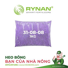 Phân thông minh RYNAN 200 (31-08-08) TỐT CÂY - MAU LỚN - TAN CHẬM 4 THÁNG (Túi 1KG)