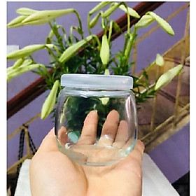 Mua Hũ Thủy tinh Sữa Chua 100ml   200ml Nắp Nhựa | Tùy chọn Mẫu và Dung Tích