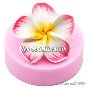 Mua Khuôn silicon làm bánh  rau câu hoa sứ 5 cánh loại 8 cm - Mã số 1608