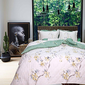 Bộ chăn ga gối drap giường cotton satin Hàn Quốc Julia 402 - 5 món có Chăn