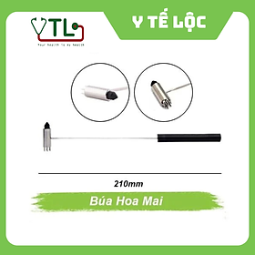 Cây búa hoa mai nhỏ Diện Chấn