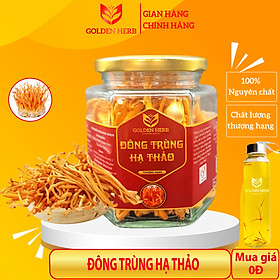 Đông trùng hạ thảo thượng hạng sấy khô 20gr/hũ