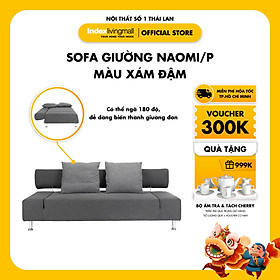 Ghế Sofa Giường Gấp Gọn Phòng Khách NAOMI P Màu Xám Hiện Đại Tải Trọng