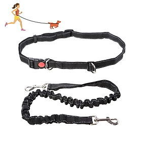 Để chó cho chó, 1 máy tính để chó điều chỉnh con chó rời khỏi cuộc đua với độ đàn hồi phản xạ với vành đai có thể điều chỉnh, màu đen