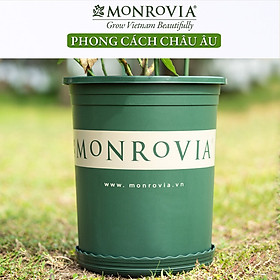 CHẬU NHƯẠ TRỒNG CÂY MONROVIA HÀNG NHẬP ĐỦ SIZE