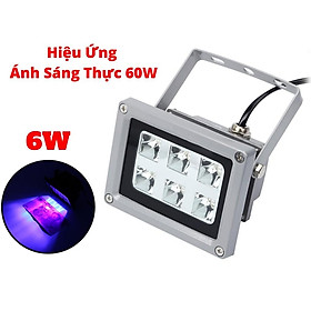 Mua Đèn UV Sấy Keo UV 6w Hiệu Năng Thực Tế Uv 60W  Đèn UV Soi Tiền UV Khử Trùng