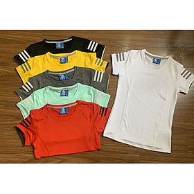 ÁO THUN NỮ CỔ TRÒN TAY NGẮN ĐA NĂNG NEW- VẢI THUN LẠNH ÔM BODY CO GIÃN 4 CHIỀU