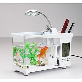 Bể cá mini để bàn làm việc( tặng 1 phao lọc rác )