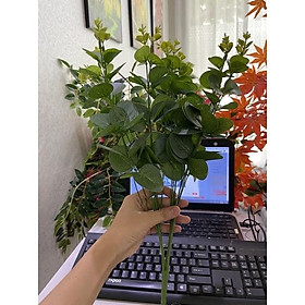 Mua Cành lá táo  Bình để bàn cắm sẵn