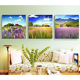 Mua - Tranh Canvas khung composit treo tường phòng khách phòng ngủ