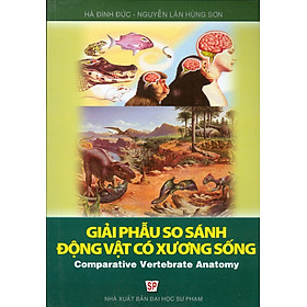 Giải Phẫu So Sánh Động Vật Có Xương Sống