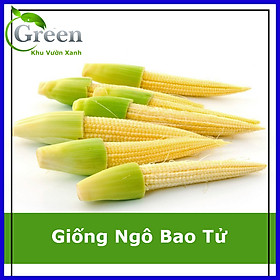 Hạt Giống Ngô Bao Tử (Ngô Rau)