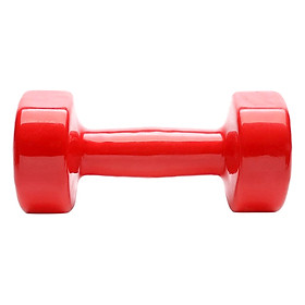 Tạ Tay Nhập Khẩu 4kg Sportslink TTNK4KGDO - Đỏ