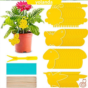 Mua Dụng Cụ Bẫy Côn Trùng Tiện Lợi