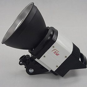 Mua Đèn Flash Studio OMD F250 - Hàng nhập khẩu