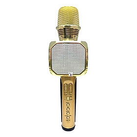 Mua Mích hát karaoke cao cấp 2020sd10