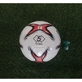 Quả bóng đá cao cấp số 5 mẫu AFF Cup (Kèm kim bơm + Lưới đựng bóng)