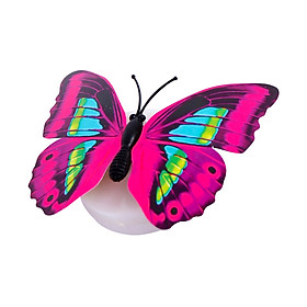 Mua Bộ 05 bướm phát sáng dán tường nhiều màu sắc - Màu ngẫu nhiên