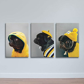 Mua Bộ 3 Tranh Canvas Không Viền Treo Tường Hình Thú  Pug Đen Mũ Vàng  W510 (Size