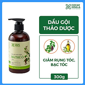 Dầu Gội và Xả Thảo Dược Hà Thủ Ô Giảm Rụng Tóc, Bạc Tóc Cocayhoala 300g