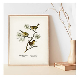 Mua Tranh canvas treo tường Chim phong cách vintage cổ điển -Eurasian wren (Nannus troglodytes) Tranh Canvas PVP-DC160  Có khung kèm theo