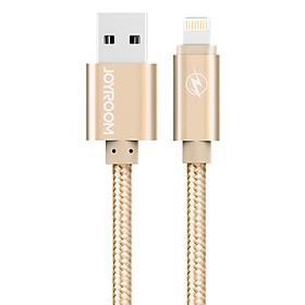Mua Cáp Sạc Kẽm Hợp Kim Lightning Joyroom S-Q1 (1m) - Hàng chính hãng