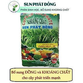 Mua Đồng Sunphat (1Kg)