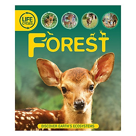 Sách Life Cycles: Forest