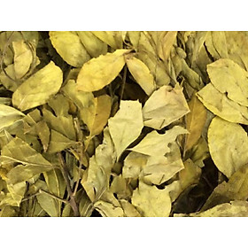 Mua cây chè dung phơi khô 1 kg