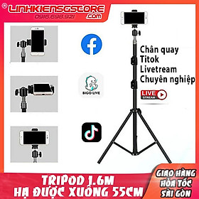 Mua Cây QUAY 1.6M live tik tok livestream chân đứng bi cầu q29 kẹp điện thoại HẠ THẤP ĐƯỢC XUỐNG 60CM