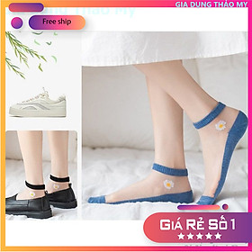 Set 10 đôi tất lưới ren hoa cúc thoáng mát dễ thương hot trend