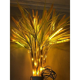 Mua Đèn led bông lúa đèn led luá mạch đèn sân vườn bó 10 bông 