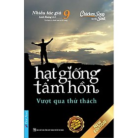Sách Hạt Giống Tâm Hồn 9 (Tái Bản)