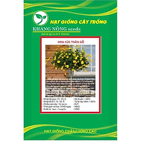 Hạt giống hoa cúc thân gỗ ( hoa cúc trường thọ ) KNS3603 - Gói 50 hạt