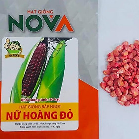 Mua Hạt giống bắp nữ hoàng đỏ ( 1 gói 50 hạt )