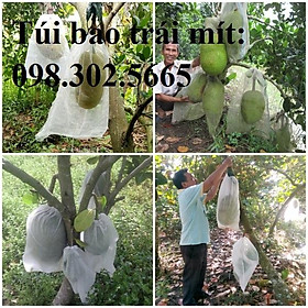 Mua 10 Túi Vải Lưới Không Dệt Bọc Mít kích thước 40x50cm Siêu Bền -Chống Ruồi  Chim  Côn Trùng Hút Chích  Chịu Nắng Mưa Qu