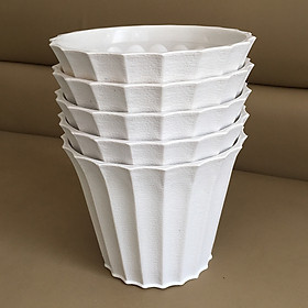Bộ 5 chậu khía nhựa màu trắng (size 22 x 18 x 15 cm)