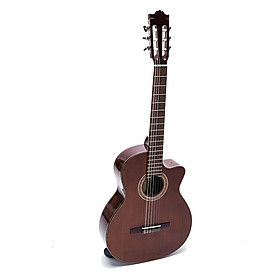 Guitar Classic DC250